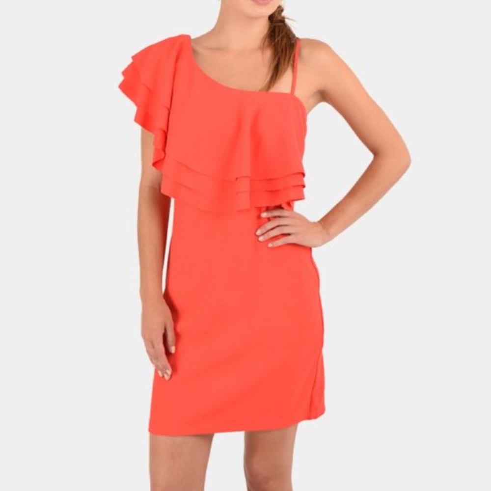 Bishop and Young Havana Dress